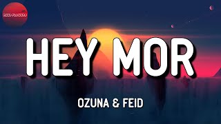 🎶 Ozuna& Feid - Hey Mor || Bad Bunny & Chencho Corleone, Myke Towers, Jhay Cortez (Mix)