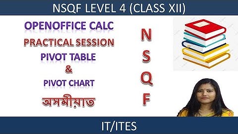 Create Pivot table and Chart | NSQF Level 4 | Class XII | IT/ITeS