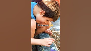 Autistic Focus 😍 #autism #stimming #focusedplay #viral