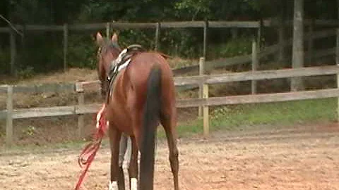 Oakley first jumps