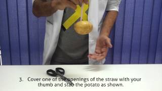 Potato Inertia
