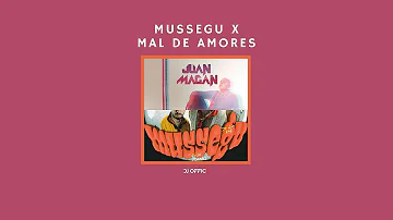 Mussegu x Mal de Amores [DJ OFFICE MASHUP]