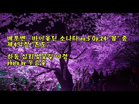 하동 십리벚꽃길 야경 &amp;<strong>amp</strong>; 베토벤 - 바이올린 소나타 No. 5 <strong>Op</strong>. 24 &amp;#39;봄 &amp;#39;중 제4악장 &amp;#39;론도&amp;#39; &amp;<strong>amp</strong>; photo by 우승술