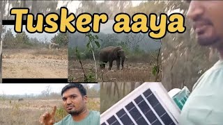 Tusker aaya #Sunderkhal #panod village me, / Jim corbett