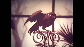 Exploring The Enchantment Vintage 8Mm Home Movie Of Haunted Mansion At Walt Disney World