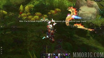 Hunter - Misdirection Macro - MMORig.com