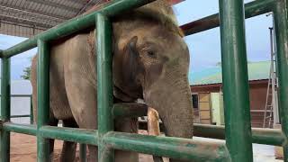 พี่เเซมตกมันอาการวันนี้🥰