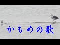 中島みゆき かもめの歌 (covered by K)