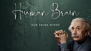 Unlocking the Secrets of Ancient Memory: Techniques to Expand Your Brain