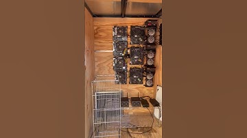 What should we start… #shorts #crypto #solar