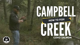 How to fish for coho salmon at Campbell Creek in Anchorage, AK