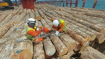 Log Carrier, Final Chain Lashing