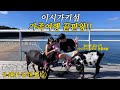 오키나와 n번째 일본 현지인이 추천하는 "이시가키섬"가족여행 끝판왕(2)ㅣ없는게없는(?)후사키비치 리조트ㅣ한일혼혈 육아브이로그