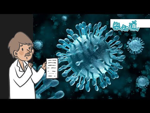 【科普】如何杀死一只丙肝病毒？What is Hepatitis C Virus?丨柴知道ChaiKnows