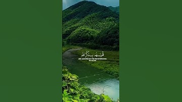الذين امنوا وتطمئن قلوبهم بذكر الله،انس المالك #قرآن #المصحف #سورة_البقرة