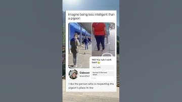 Day 2 Of Posting This Video Until I Get 1 Million Views #funny #memes #foryou