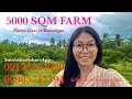 Vlog589: 5000 SQM CORNER LOT CITRUS FARM FOR SALE IN PADRE GARCIA BATANGAS PHILIPPINES