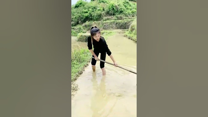 girl doing deep digging in paddy field