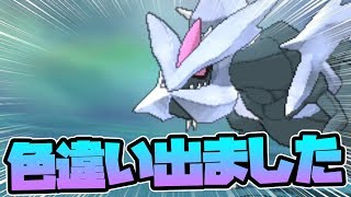 【ポケモンUSUM】キュレムの色違いが出ました。絶対ゲットします。【ウルトラ サン ムー