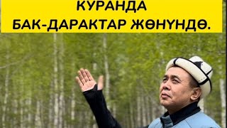 Куранда бак-дарактар жөнүндө. Устаз Абдишүкүр Нарматов. Россия, Челябинск. #насааткж #nasaatkg