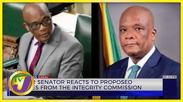 Former Senator Reacts to Proposed Charges from the Integrity Commission | TVJ News