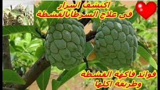 فوائد فاكهة القشطة وفوائد تناول القشطة والأمراض التي تحميك منها Cream fruit and cancer