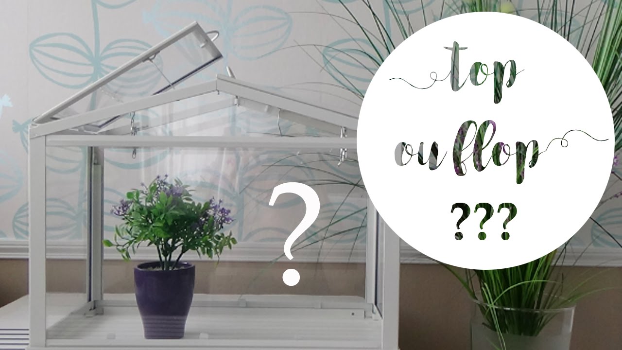 Top ou flop ? la mini serre socker d'ikea pour le jardinage youtube