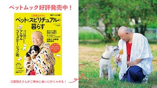 【婦人公論増刊ムック】「江原啓之が行く！　ペットとスピリチュアルに暮らす」見どころメッセージ