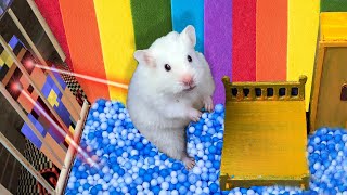 🐹 PRO Hamster Escapes Awesome Prison Maze 🐹 Hamster Story