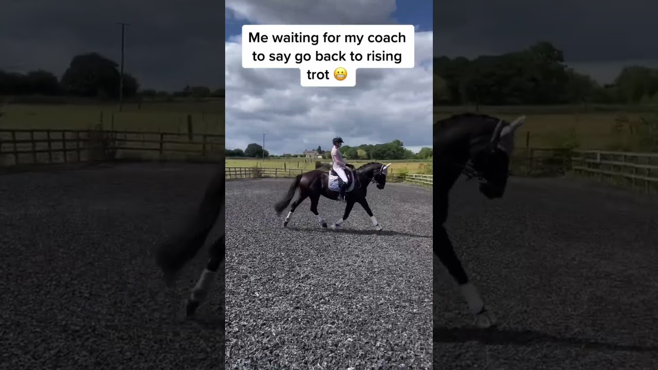 Sitting trot is EXHAUSTING 😮‍💨 