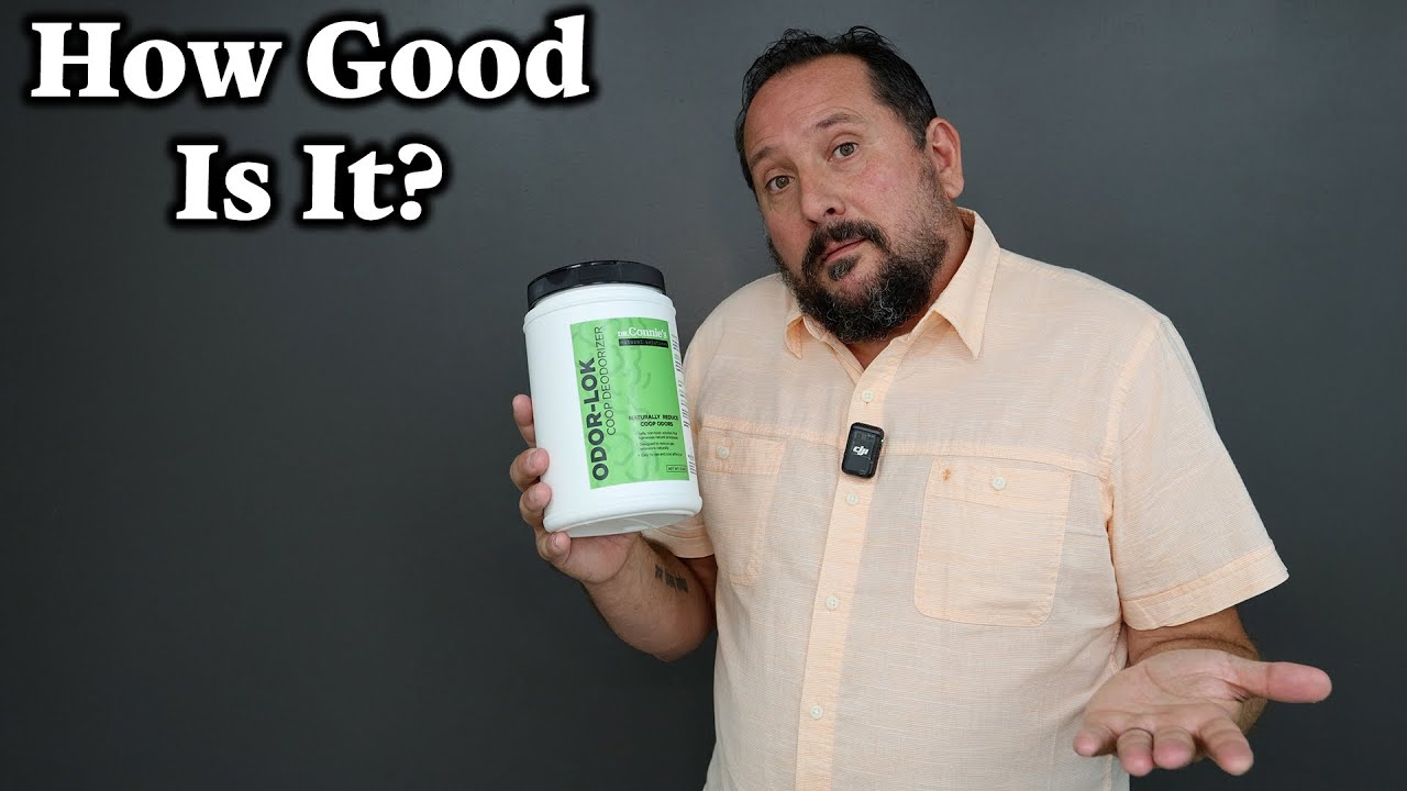 FINALLY! Eliminate Chicken Coop Stink with this EASY Hack! (Dr. Connie