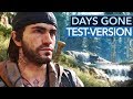 Das ist die Test-Version von Days Gone - Gameplay & Infos