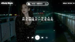张艺迈 - 相遇的意义 (深情版) (抖音热播版)『短暂的相遇 更像是惩罚，是我执迷不悟 的代价，可我的身份 只能当笑话』【動態歌詞Lyrics｜高音質|video】