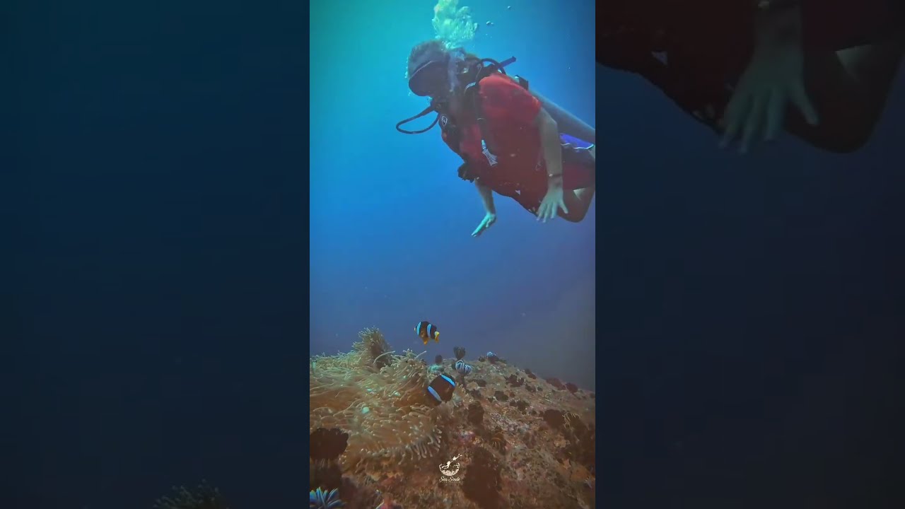 Underwater Diving Sri Lanka