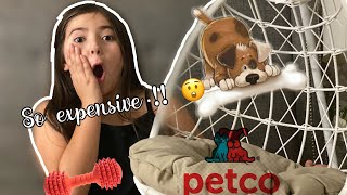 Whatever my dog touches , I BUY ! 😲💸. | Petco 🐶 .