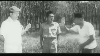 Anak Bapak: Boss yang baik