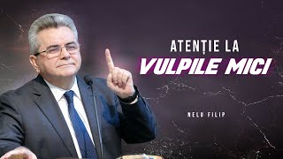 Nelu Filip - Atenție la vulpile mici