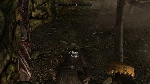 Skyrim Dual Sword animation