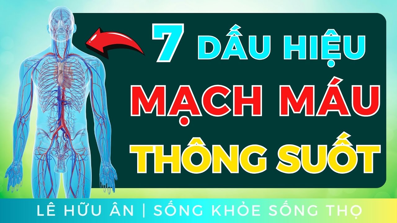 7 Dấu Hiệu Cho Thấy MẠCH MÁU Của Bạn Vẫn Thông Suốt (Cơ Thể Khỏe Mạnh Từ Bên Trong)