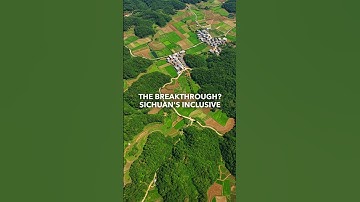 China’s forest carbon market could offset 23.5M tons of CO2—here’s how