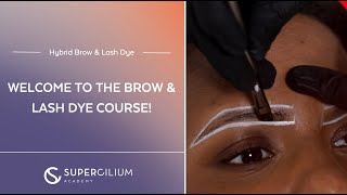 Explore the newest innovation in brow tinting! | Brow & Lash Dye Course