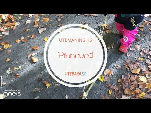 Utemaning 16  - Pinnhund