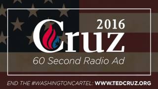 Damage Cruz For President Radio Ad