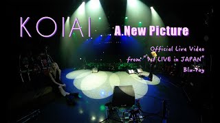 KOIAI - A New Picture (Official Live Video from "1st LIVE in JAPAN" Blu-ray)