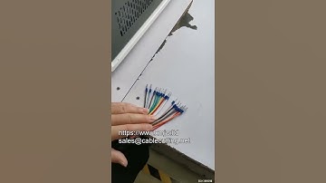 Automatic Wire Stripping And Ferrule Crimping Machine