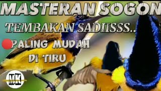 MASTERAN SOGON TEMBAKAN SADIISSS..