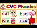 Cvc phonics  words and sentences  english reading practice for kids  compilation