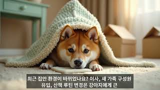 강아지 배변 훈련, 병원 가기 전 꼭 체크해야 할 3가지