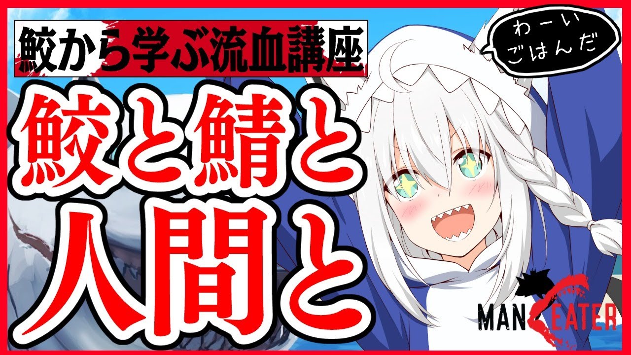 フォックスシャーク　第５講座「鮫と鯖と人間と」【ホロライブ/白上フブキ】