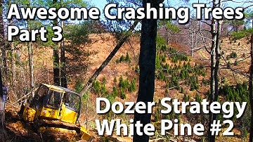 Awesome Crashing Trees Part 3 - Dozer Strategy & White Pine #2
